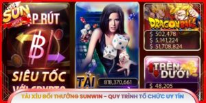 Tài Xỉu Đổi Thưởng Sunwin - Quy Trình Tổ Chức Uy Tín